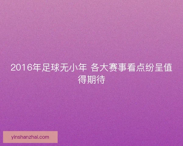 2016年足球无小年 各大赛事看点纷呈值得期待