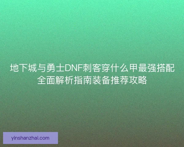 地下城与勇士DNF刺客穿什么甲最强搭配全面解析指南装备推荐攻略