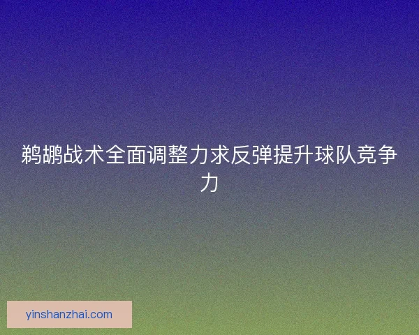 鹈鹕战术全面调整力求反弹提升球队竞争力